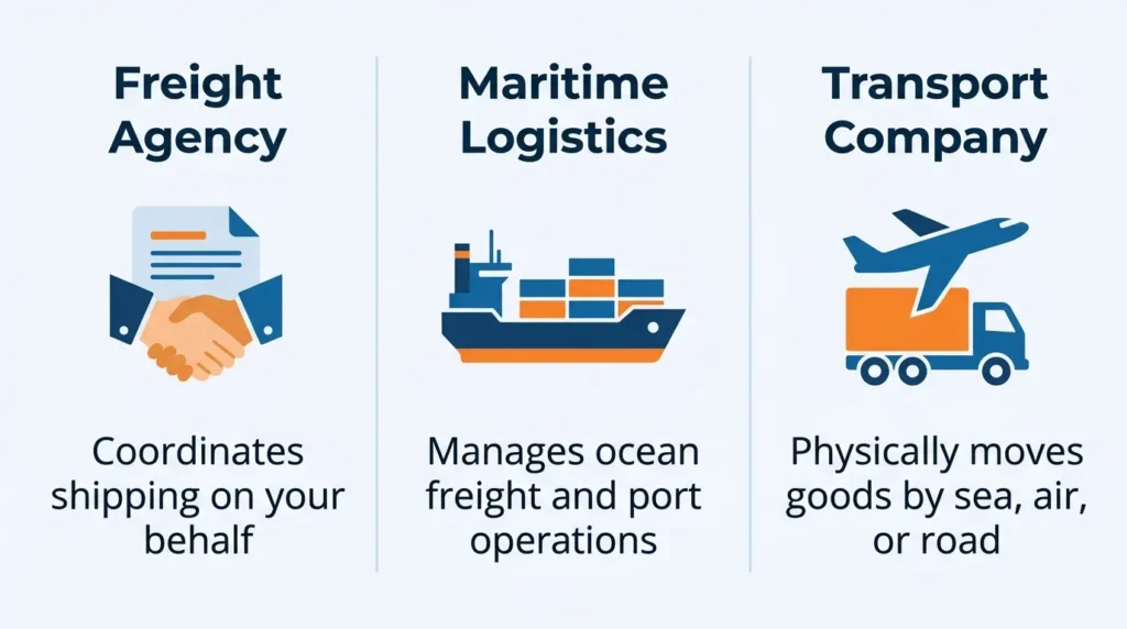 Comparison of freight agency, maritime logistics, and transport company roles